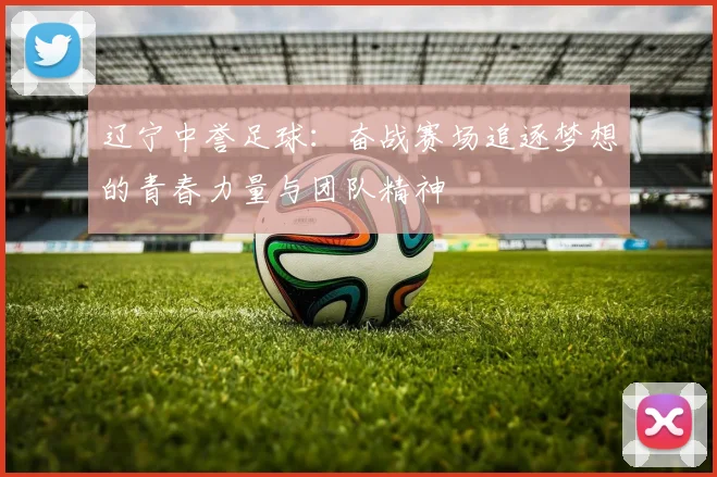 辽宁中誉足球：奋战赛场追逐梦想的青春力量与团队精神