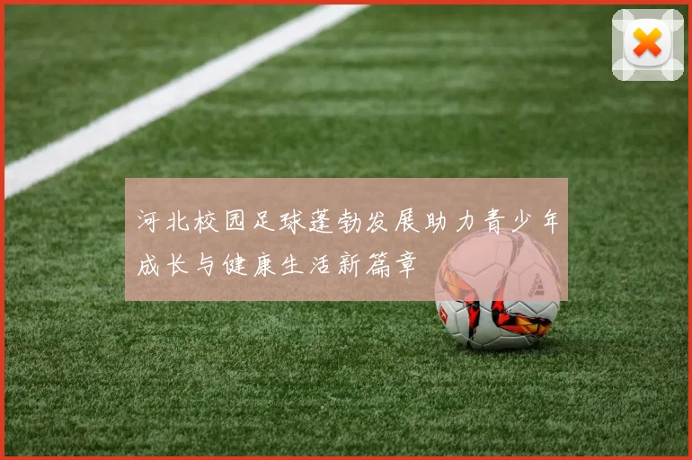 河北校园足球蓬勃发展助力青少年成长与健康生活新篇章