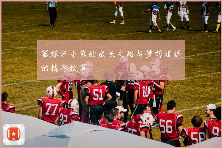 篮球汪小熊的成长之路与梦想追逐的精彩故事