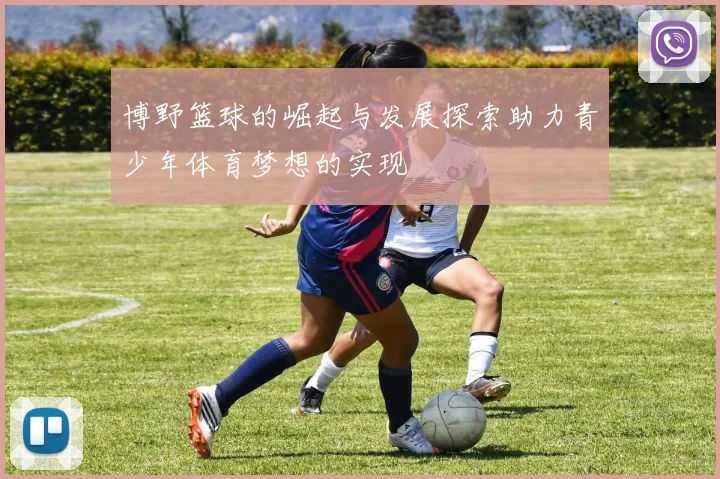博野篮球的崛起与发展探索助力青少年体育梦想的实现