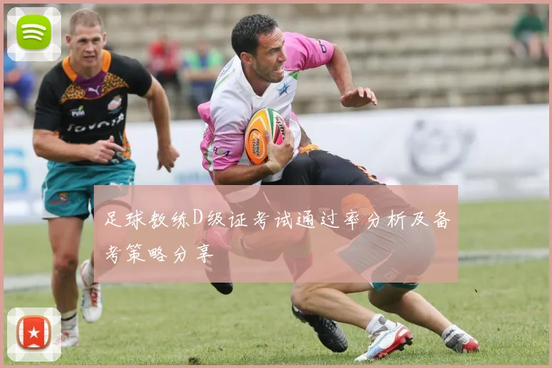 足球教练D级证考试通过率分析及备考策略分享
